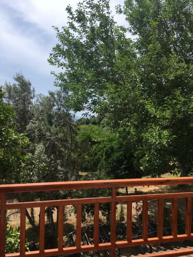 Villa Bilge Çıralı Luaran gambar