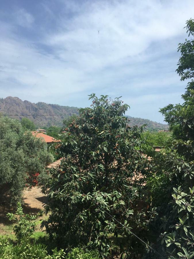 Villa Bilge Çıralı Luaran gambar