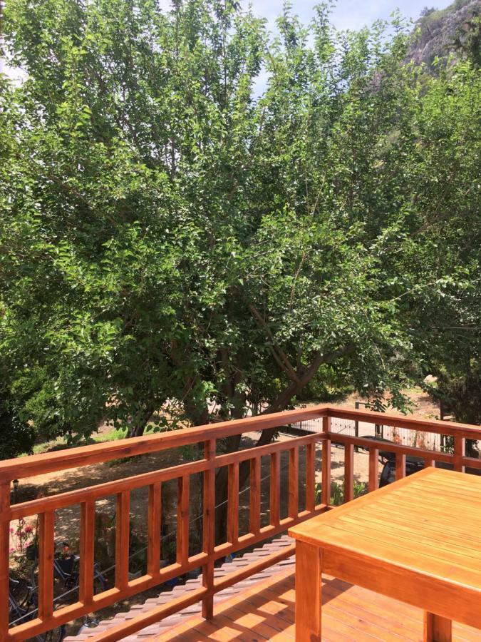 Villa Bilge Çıralı Luaran gambar