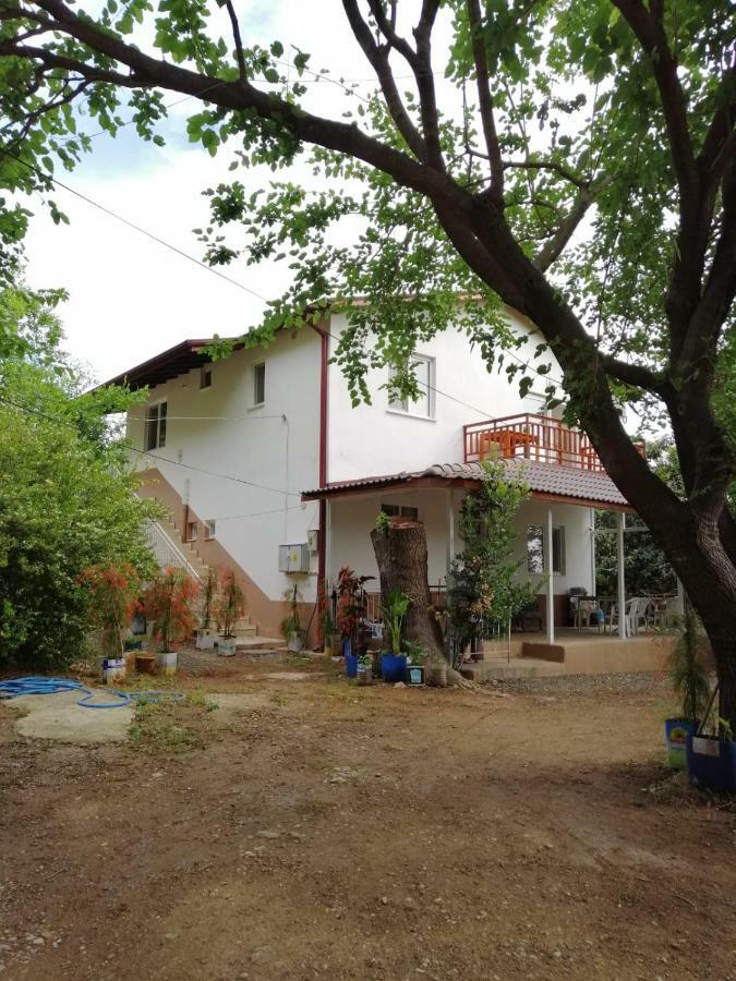 Villa Bilge Çıralı Luaran gambar