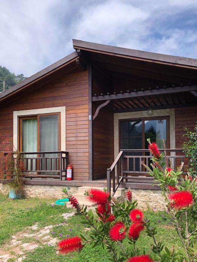 Villa Bilge Çıralı Luaran gambar