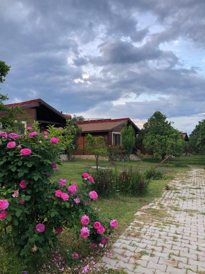 Villa Bilge Çıralı Luaran gambar