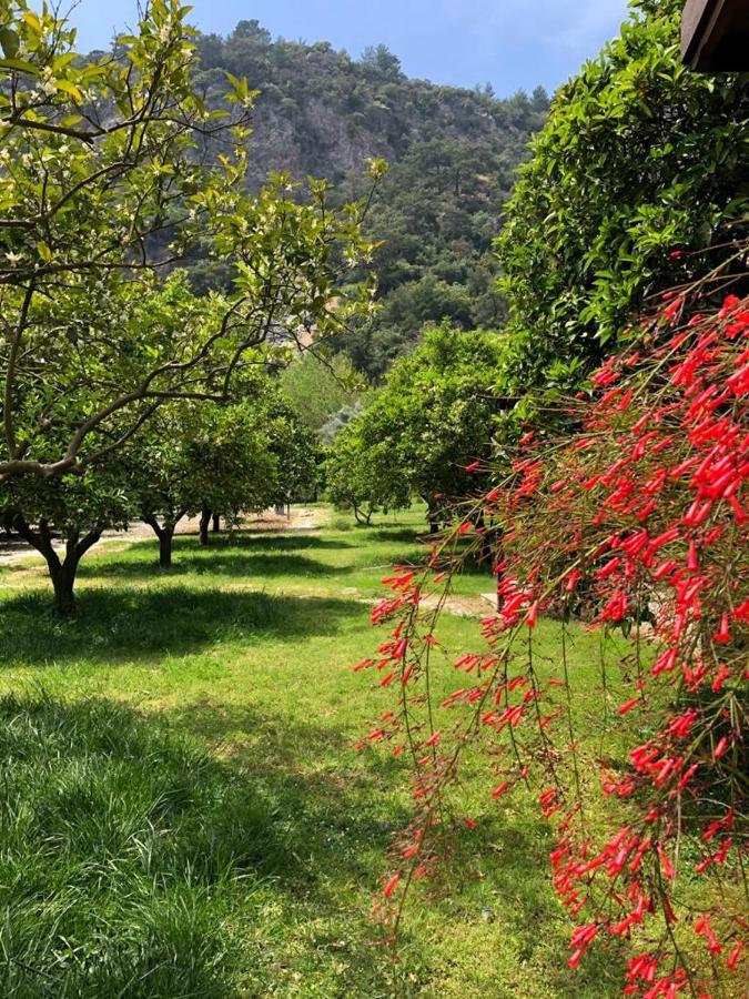 Villa Bilge Çıralı Luaran gambar