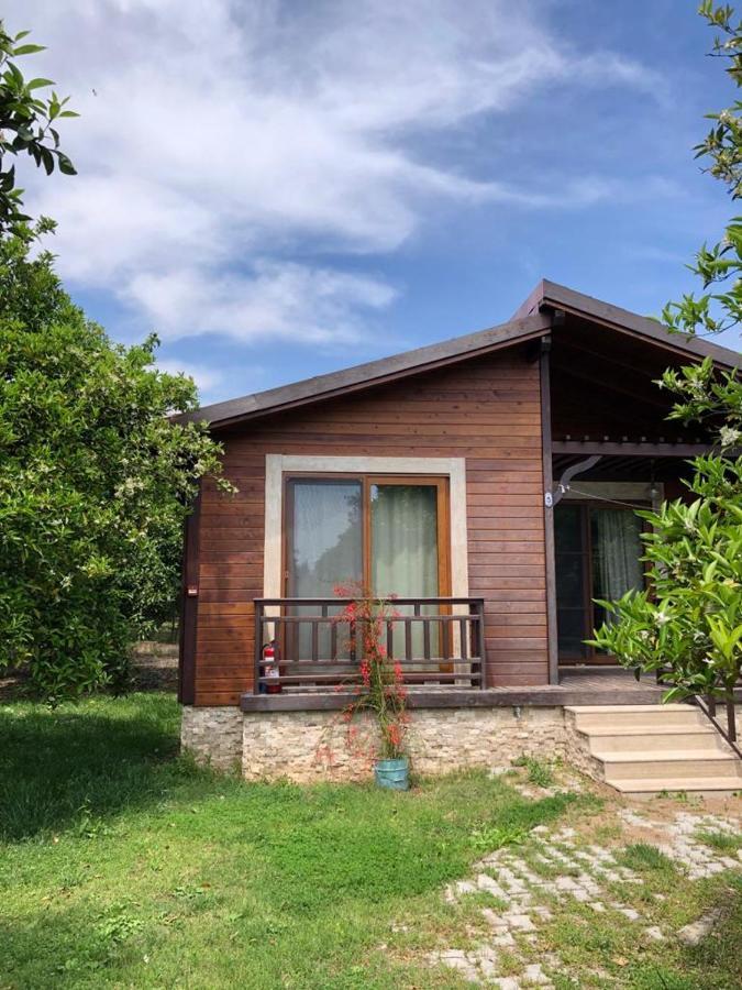 Villa Bilge Çıralı Luaran gambar
